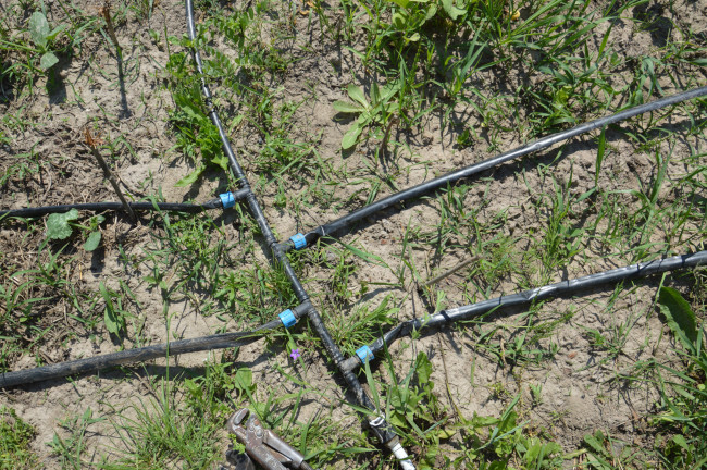 How Do We Assess the Need for Irrigation Re-Routing? | Yosemite ...